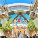 화창사 | 대전 웨딩홀 투어 ① 에스가든 상담 후기🤍홀 분위기(흐린날·화창한날) · 식대 · 26년 하반기 견적...