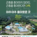 설레이미