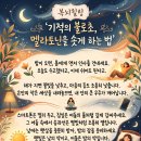 기적의 불로초, 멜라토닌을 솟게 하는 법 이미지