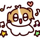 애견랜드 이미지