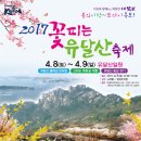 꽃피는 유달산 축제 이미지