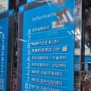 트로피피부과의원 이미지