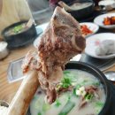 홍삼품은낙지 네이버블로그