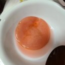 스코비아일랜드 이미지