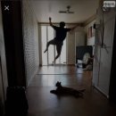 장충동왕족발 이미지