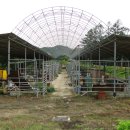 대지사슴농장 이미지