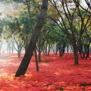 (주)우리기연