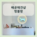 멍블랑 강아지분양 시흥배곧점 | 배곧애견샵 멍블랑 강아지분양 시흥배곧점 방문 후기