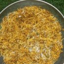 인동농장 이미지