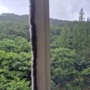 조흥그린아파트 | 김해)외동조흥그린 아파트 미세방충망 시공