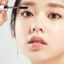 피올래쉬