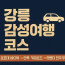 신흥카정비 | 강릉 힐링 코스 3선 – 자연, 바다, 감성 카페