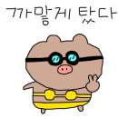 웨스트메도우 이미지
