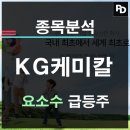 KG케미칼 비료 요소수 양극제 2차전지 수처리제 쌍용차 관련 특징주 분석