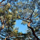 흥덕왕릉 화장실 이미지