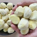 정안이네 이미지