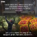 칠안경로당 이미지