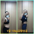 고고씽점핑 이미지