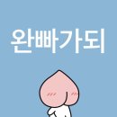 해빙썬 | 내 청춘의 이름 | 웬디 W:EALIVE ENCORE 후기