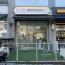 원스독 | [ 강북 | 애견미용후기 ] 원스독 :: 강북구 애견 미용 후기 / 릴스 대박 터진 그곳 맞습니당!_릴스 영상...