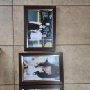 남중동-15 이미지