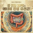 뿌리 철학B | 애터미 친생 유산균의 모든 것! 성분부터 효능, 후기, 가격, 섭취법과 주의사항 총정리
