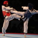 용인대한겨레태권도 이미지