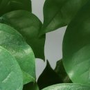 태안내과의원 이미지