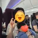 카타르 항공 수화물 7개월 아기랑 비행기 배시넷 베를린-도하-인천 후기