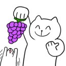 상기농장 이미지