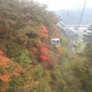 11월 정기산행 공지(45명 마감) 이미지