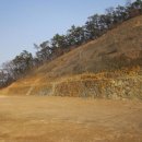 팔탄초등학교대방분교장 이미지