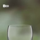 그린농업센터 네이버블로그