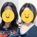 유성미용실 | 대전 유성미용실 더뷰티리움 중단발 허쉬컷 후기