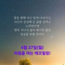 에코힐링