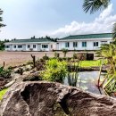 그린 팜파스 이미지