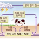 화평화학 이미지