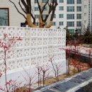 주택정원 셀프정원디자인 이미지