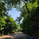 순환로 | 러닝 꺼드럭(남산 북측 순환로 후기)