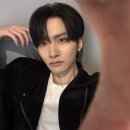 좋아하는 고양이 #491 이미지