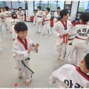 아리랑 태권도 이미지