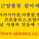 이화항외과의원 이미지