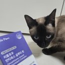 강아지 고양이 항산화제 추천 ! 리틀포우 안티옥스 글루타온 급여 후기