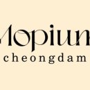 모피움청담 이미지