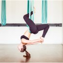 요가초급반 이미지