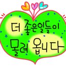 성진카 이미지