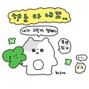 서평택셀프세차타운 | #26.02