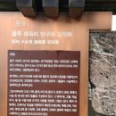 울주 대곡리 반구대 암각화 | 울주 대곡리 반구대 암각화