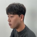 디자이너T