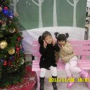 정은